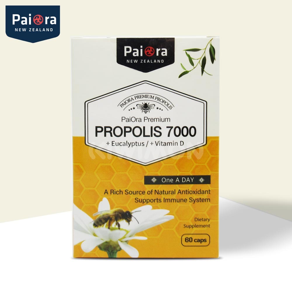 파이오라 프로폴리스 유칼립투스 비타민D 7000mg 60캡슐
